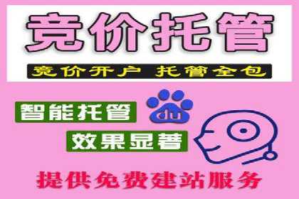 网站SEM托管优化案例：从零到一的蜕变
